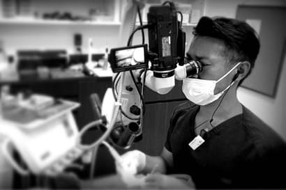 マイクロスコープによるMTA根充<