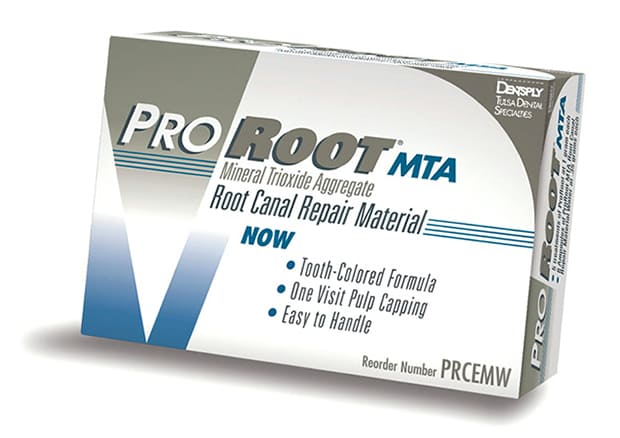 MTAセメントによる根充